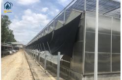 China Indoor Farming Polycarbonate Green House For Fast Growing Crops supplier
