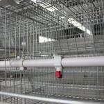 Hot Galvanized Automatic Broiler 3 Tiers 4 Tiers H Type Battery Poultry Chicken Cage for sale