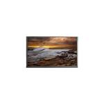 16.0 Inch 2560*1600 40 Pins 240Hz  LCD Display NE160QDM-NZC  for sale