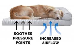 China 4.8kg Cooling Memory Foam Dog Bed 44in Machine Washable Pet Bed supplier