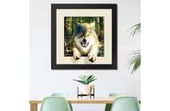 China Large 40x40cm 5d Depth Poster Custom Lenticular Printing For Company Advertisement supplier