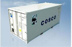 China Used 20 Foot Reefer Container / Steel Dry Reefer Container 9 Into A New supplier