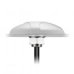 MA600.W.A.ABC.001 for sale