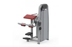 China 2024 New Commercial Fitness Equipment Professional Gym Equipment Leg Machine Gym Equipment Machine supplier
