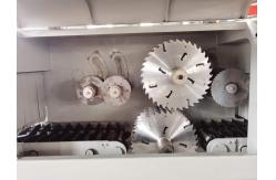 China SHYM200 Multi Blade Rip Saw 500mm Diameter Log Multi Ripsaw supplier