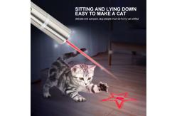 China Multifunctional USB Charging Interactive Cat Laser Toy supplier