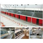 Easy Operate Poultry Farm Automatic Laying Nest PP