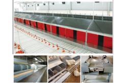 China Easy Operate Poultry Farm Automatic Laying Nest PP supplier