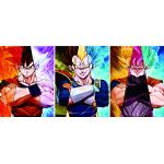 30*40cm 3D Anime Poster / 3D Dragon Ball Poster With Flip Change Effect for sale