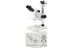 China Outstanding White Gem Stereo Optical Microscope 8X - 35X A23.0904-B4 supplier