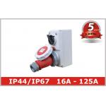 Compact Industrial Power Socket 16A for Electrical Power Distribution for sale
