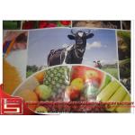 CE / ISO Certificated flexo printing unit for fabric , polygraph bag