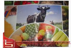 China CE / ISO Certificated flexo printing unit for fabric , polygraph bag supplier