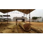 MJ2500 Large Horizontal Automatic Wood CNC Band Saw Machine For Sale for sale