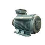 Simple Structure Neodymium Permanent Magnet Motor PMM 5.5kw-3000kw for sale