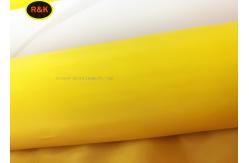 China 10-460T Nylon Screen Printing Mesh Nylon Bolting Cloth Excellent Tear Resistance supplier