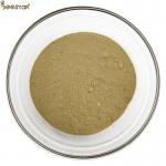 Bee Product 22427-39-0 Ginseng Powder Extract Health Supplements for sale