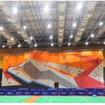 Training Climbing Gym Rock Climbing Walls For People Allowable Passenger >100 for sale