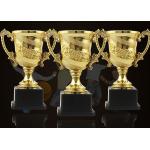 Plastic Award Cups For Children Graduation Customized Sizes & Colors Available for sale