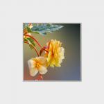 33.2 Inch Square LCD Display 420nits LVDS LCD Module For Shopping Malls for sale