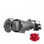 50kg Vacuum Freeze Drying Machine Large Scale Freeze Dryer 12 Trays for sale