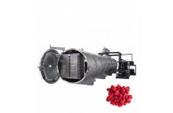 China 50kg Vacuum Freeze Drying Machine Large Scale Freeze Dryer 12 Trays supplier