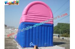 China Popular Commercial Inflatable Slide Double Line , Giant Slide Toys supplier