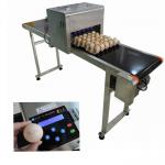 Computer Control Egg Industrial Inkjet Printing Machines For Batch Number for sale