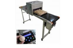 China Computer Control Egg Industrial Inkjet Printing Machines For Batch Number supplier