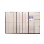 Technical Support Laundry Service Locker With Electronic Lock Control System and Dry Cleaning Locker Systems for sale