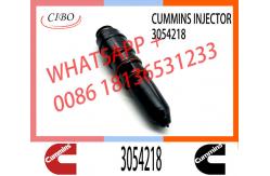 China Diesel Engine Spare Parts NT855 NTA855 Fuel Injector 3018566 3054218 supplier