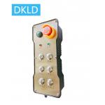 Six-way dual speed switch industrial remote control for sale