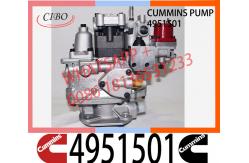 China Cummins NT855 NTA855 Fuel Pump 4951501 3019487 560659 3019488 supplier