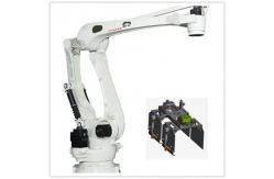 China CP130L Industry Robot Arm supplier