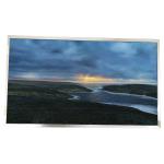 M215H1-L03 LCD screen display panel for sale