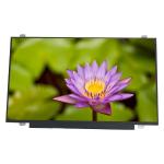 14.0 Inch IPS Laptop LCD Display NV140FHM-N43 Screen Matte FHD 1920*1080 Panel for sale