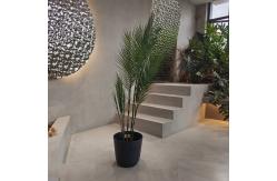 China Customized Plastic Flower Pot Lightweight for Planting Seedling supplier