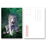 Animial Image 3d Lenticular Card For Children With Tiger for sale
