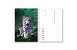 China Animial Image 3d Lenticular Card For Children With Tiger supplier