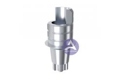 China Dentsply Ankylos® Internal Hexagon Titanium Ti-Base Abutment supplier