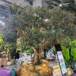 Factory Priced Large Artificial Olive Tree Huge Ornamental Fiberglass Tree for Indoor Restaurants and Shopping Malls Decor for sale