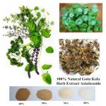 100% Natural Gotu Kola Herb Extract Asiaticoside 95% powder for sale