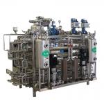 Automatic Mango Fruit Vegetable Processing Line With PLC Control System for sale