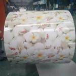 Customized Color Coated Steel Coil Yield Strength≥265Mpa Tensile Strength 300-450Mpa for sale