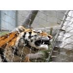 Monkey tiger enclosure mesh zoo Animal enclosure mesh netting ferruled cable netting mesh