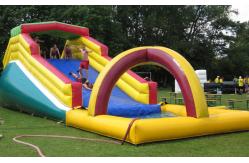 China Customized Rent Giant Pvc Inflatable Water Slide For Backyard supplier