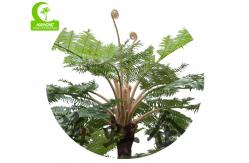 China Indoor Outdoor All Season 350cm Artificial Tropical Tree Realistic supplier