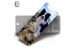 China 2019 New Design 3D Hologram Bookmark Of Cute Dogs Animal With Tassels supplier