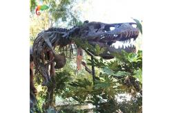 China Weather Resistance T Rex Skeleton Replica supplier