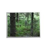 TM238VFXJ01-00 23.8 inch LCD Screen 1920*1080 LCD Display Panel for sale